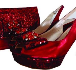 Designer Wine Shoe & Bag